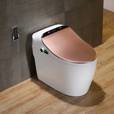 Homary Automatic Smart Toilet Heated Seat With Bidet Built In & Deodorizing Function Rose Gold Elongated On In White