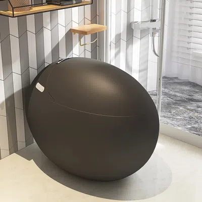 Homary Modern Black Egg-shaped Smart Toilet With High Version & Multi-function Oluxe G1