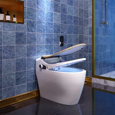 Homary Modern Smart Toilet One-piece 1.28 Gpf Floor Mounted Elongated Toilet And Bidet Seat In White