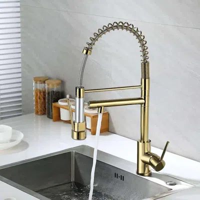 Homary Pull Out Sprayer Kitchen Faucet Single Hole Double Spout Solid Brass In Gold