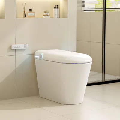 Homary Self Cleaning Heated Seat Japanese Toilet With Bidet Spray And Auto Lid In Neutral
