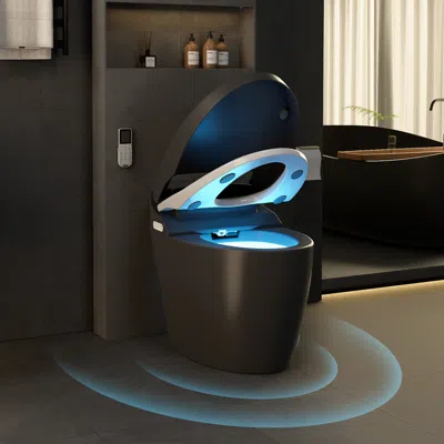 Homary Set Of Two Modern Black Smart 1.28 Gpf Floor Mounted Elongated Toilet And Bidet With Seat