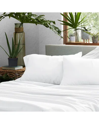 Home Collection Premium Ultra Soft 2pc Pillow Case Set
