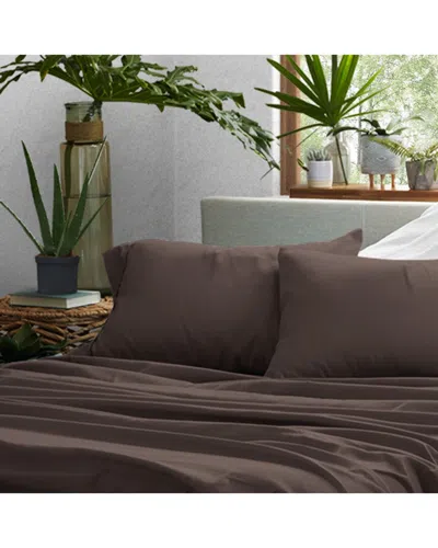 Home Collection Premium Ultra Soft 2pc Pillow Case Set