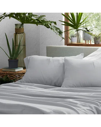 Home Collection Premium Ultra Soft 2pc Pillow Case Set In White