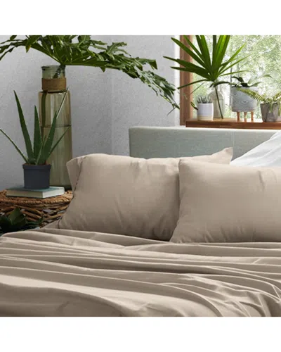 Home Collection Premium Ultra Soft 2pc Pillow Case Set In Multi