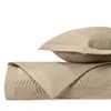 Home Treasures Chester Euro Quilted Sham Set In Candlelight