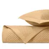 Home Treasures Diamond Euro Quilted Sham Set In Gold