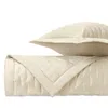 Home Treasures Fil Coupe Euro Quilted Sham Set In Ivory
