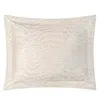 Home Treasures Raja Euro Sham In Dune