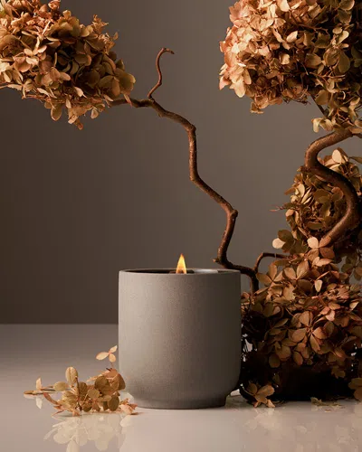 Homecourt Candle - Cece