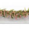 Homegifo 12/pkg Candy Canes