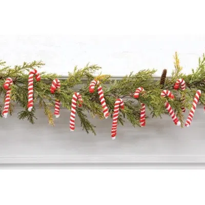 Homegifo 12/pkg Candy Canes In Red