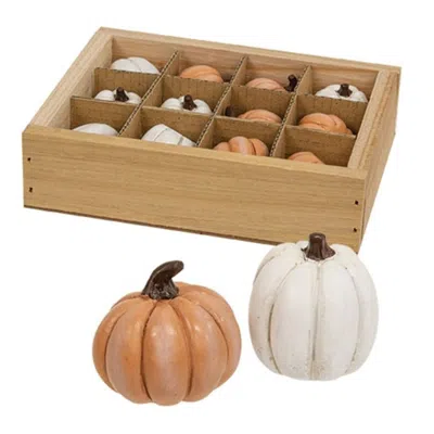 Homegifo 12/set Mini Resin Pumpkins In Crate In Multi