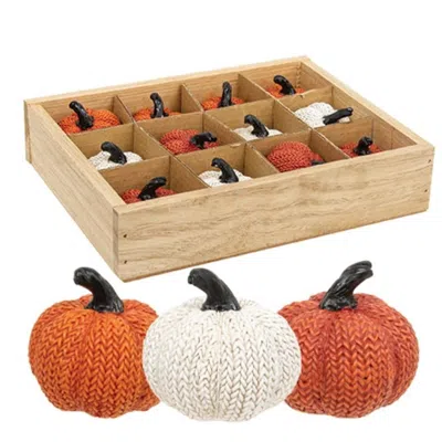 Homegifo 12/set Resin Sweater Pumpkins In Crate In Blue