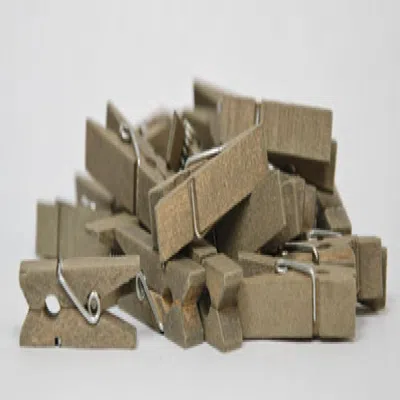 Homegifo 24/set Mini Wood Clothespins In Neutral