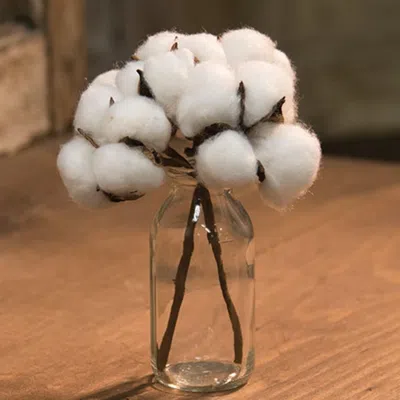 Homegifo *2/set Cotton Ball Pick - 6" In White