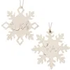 Homegifo *2/set Snow & Wish Snowflake Ornaments