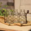 Homegifo 3 Bottles W/ Wire Carrier