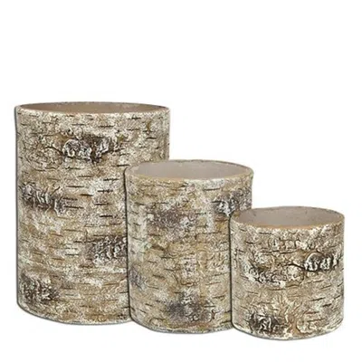 Homegifo 3/set Birch Containers In Green