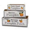 Homegifo 3/set Welcome To The Pumpkin Patch Crates