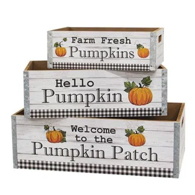 Homegifo 3/set Welcome To The Pumpkin Patch Crates In Gray