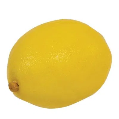 Homegifo *5/set Artificial Lemon Fillers In Yellow