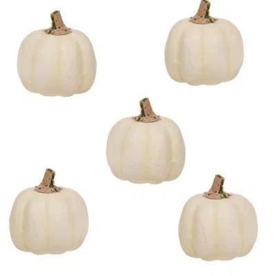 Homegifo 5/set Mossy Stem Cream Pumpkins In Neutral