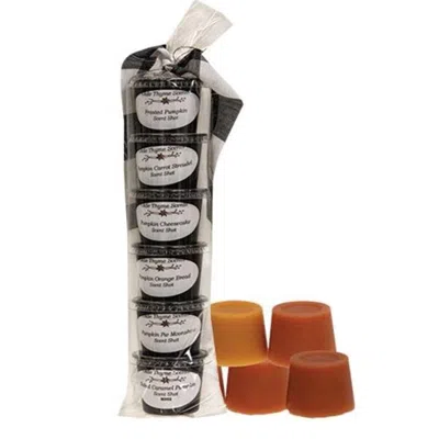 Homegifo 6/pkg Gone Pumpkin Pickin' Scent Shots In Brown