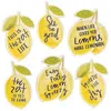 Homegifo *6/set Lemon Sayings Magnets
