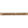 Homegifo A Spoiled Dog Lives Here Engraved Block 18"
