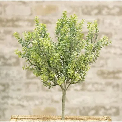 Homegifo After Rain Bush 14" In Green