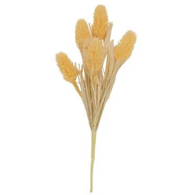 Homegifo Amber Waves Bush In Yellow