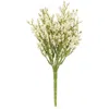 Homegifo Array Astilbe Bush Cream