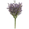 Homegifo Array Astilbe Bush Purple