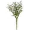 Homegifo Array Astilbe Bush White