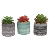 Homegifo Artificial Succulent In Deco Pot 3 Asstd.