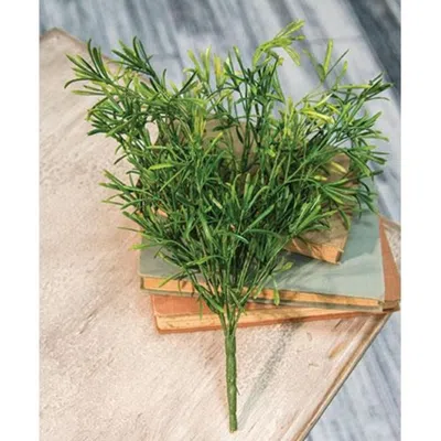 Homegifo Asparagus Bush - Small In Green