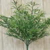 Homegifo Asparagus Bush