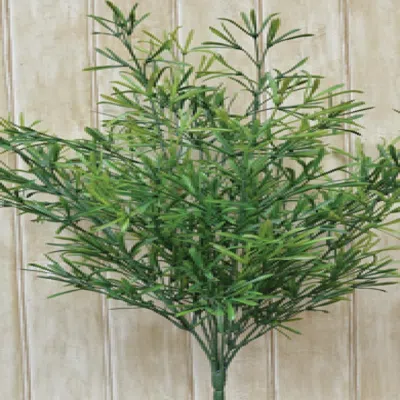 Homegifo Asparagus Bush In Green