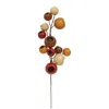 Homegifo Autumn Pod Pick