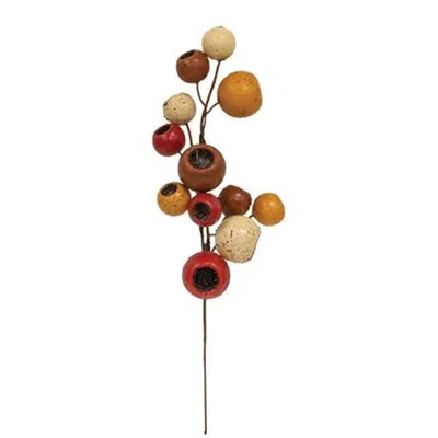 Homegifo Autumn Pod Pick In Multi