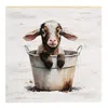 Homegifo Baby Goat In A Bucket Block