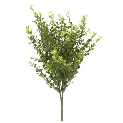 Homegifo Baby's Grass Spray Med. Green 14"