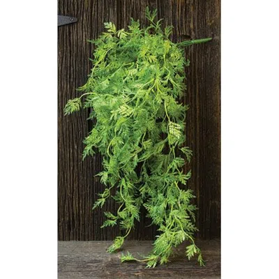 Homegifo Badium Hanging Bush In Green