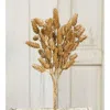 Homegifo Beige Hops Bush 15"