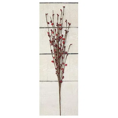 Homegifo Bell & Burgundy Pip Spray In Red