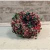 Homegifo Berry Ice Bird Nest 4"