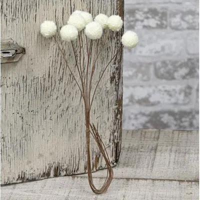 Homegifo Billy Ball Bunch 16" Cream In White