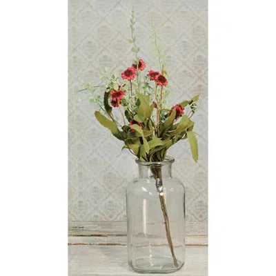 Homegifo *bird's Eye Daisy Bush Burgundy 18" In Pink
